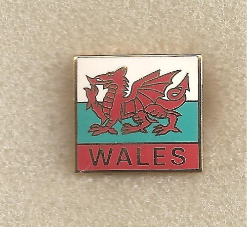 Pin badge abzeichen football - pin,