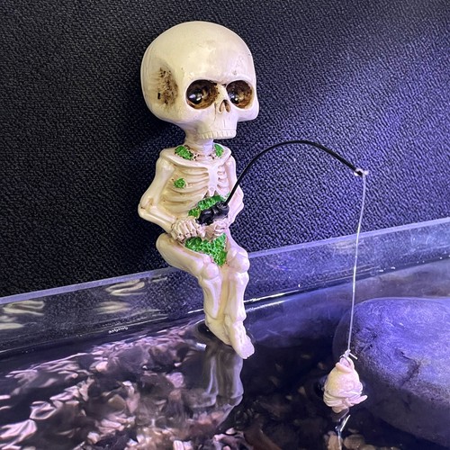 Betta sitting fishing skeleton - sitting,