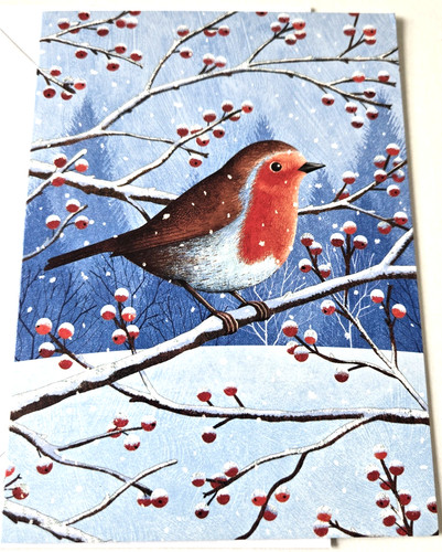 Christmas card robin - card,