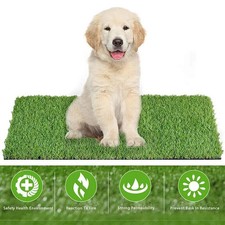 Pet Dog Toilet Mat Indoor