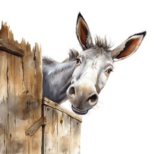 8x Sticker Donkey Car Sticker