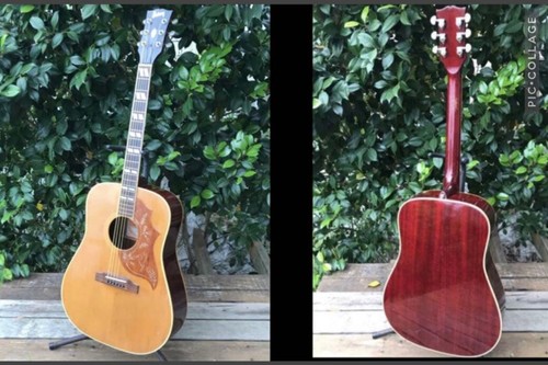 Burny hummingbird - bh-75,