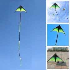 Large Delta Long Tail Kite 10m