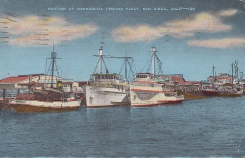 San diego california - diego,