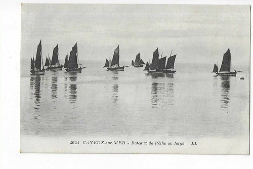 Cayeux sur mer - mer, fishing