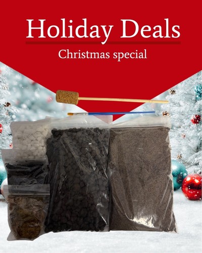 Terrarium kit giftbox - giftbox, |