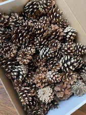 Natural Pine Cones 4-5cm Pack of 80 Ideal for Crafts Or Christmas Decorations