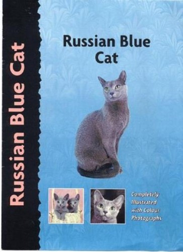 Russian blue cat - blue,