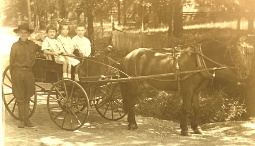 Antique vtg rppc horse - antique, pony