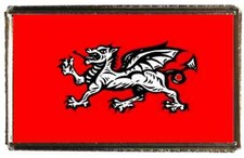 English Wessex Dragon Silver