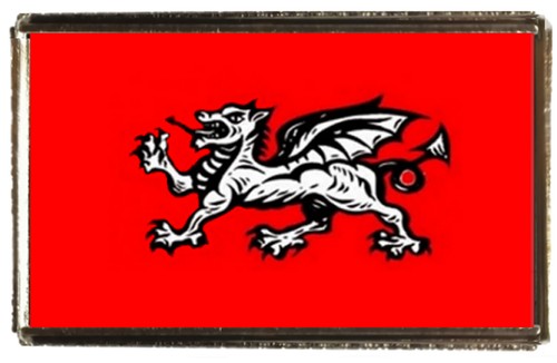 English wessex dragon silver - wessex,