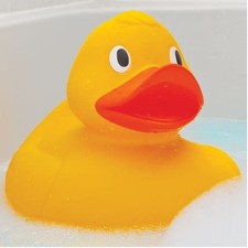 Giant Duck - Brand New &