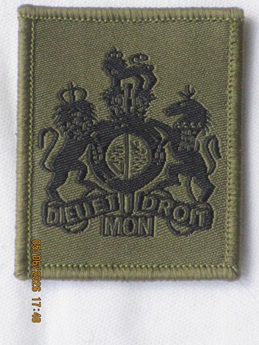 Warrant officer rank badge - warrant,