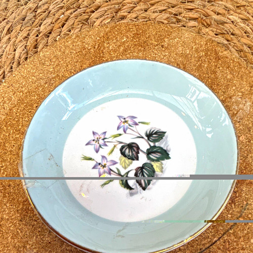Royal worcester blue white - worcester, &