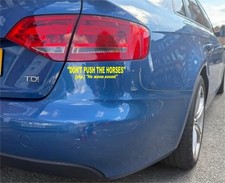 Don't Push The Horses, Ukrainian Meme, Boxing Meme, Car Bumper/Window decal,Usyk