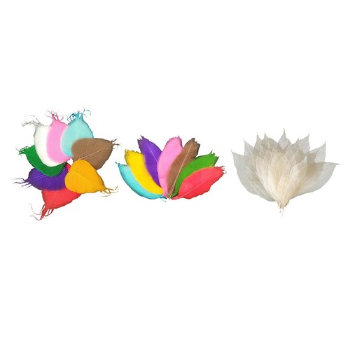 Art multicolor skeleton leaves - multicolor,