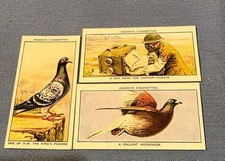 Ogden's " Racing Pigeons "   3 original cigarette cards Nos 12, 13 and 14