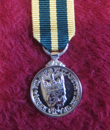 Queens volunteer reserve - reserve, medal