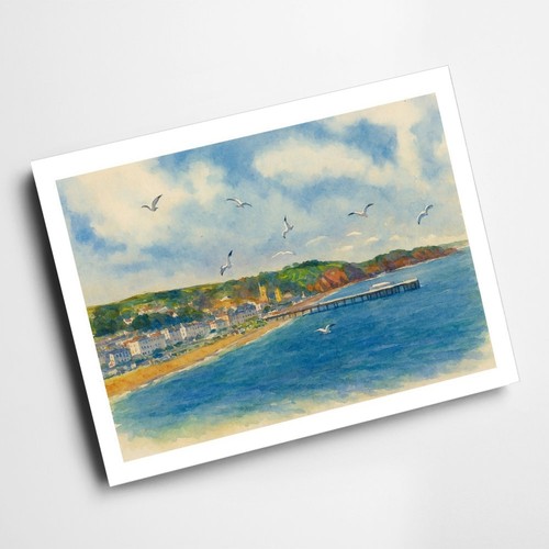 Print teignmouth from the - print,