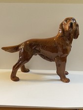 UNMARKED DOG IRISH RED SETTER