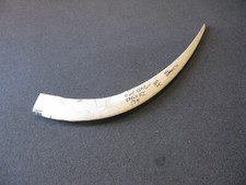 Reproduction Jaguar XKE E-type