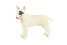 Bull Terrier Toy Dog, Male