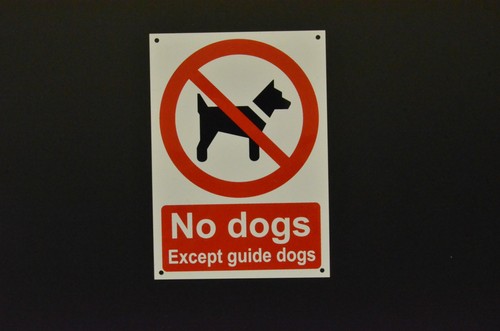 Dogs except guide - no,
