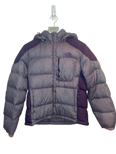 The north face 700 down - north,