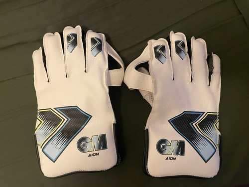Aion wicket keeping gloves - keeping,
