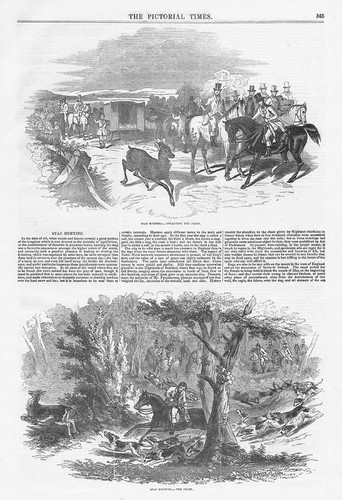 Stag hunting uncarting - hunting, the