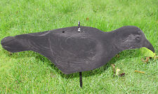 6 x CROW SHELL DECOY, FLOCKED