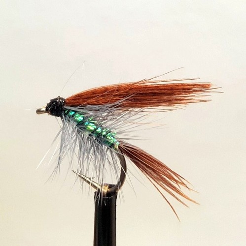 Pearly dabbler wet - wet, fly