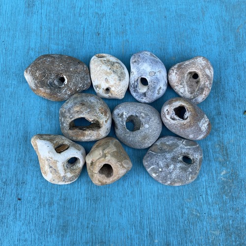 Ten medium size natural hag - medium,