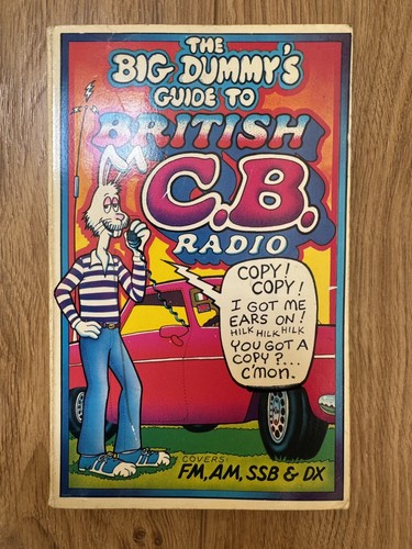 The big dummy guide - the,