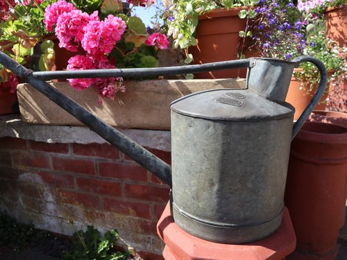Large galvanised 2 gallon - galvanised,