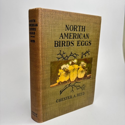 North american birds eggs - american, by
