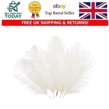 Luxurious 10-Pack of 6-8 Inch