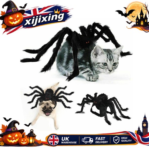 Black pet spider - black,