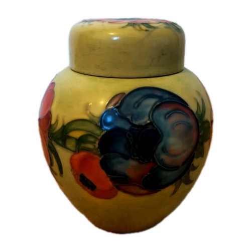 Moorcroft pottery ginger jar - pottery,
