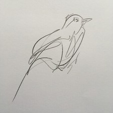 Sweet Bird - Original signed