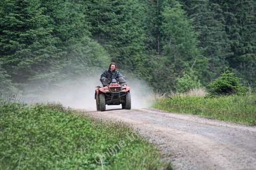 Photo 6x4 hamsterley - 6x4,