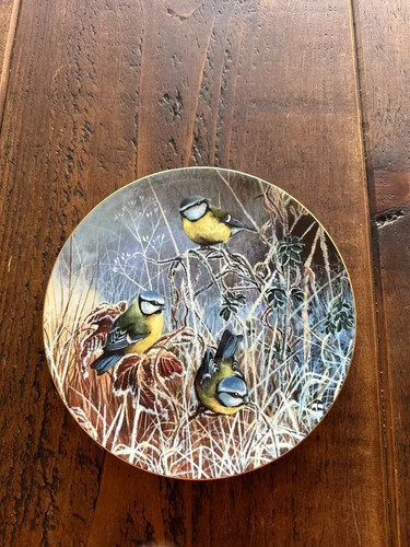Coalport winter bluetit - coalport, bluetit"