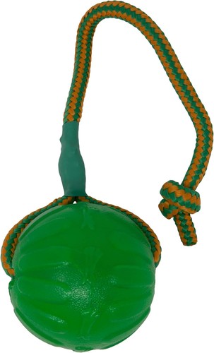 Star mark swing fling - star,