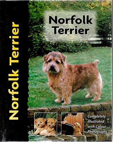 Norfolk terrier comprehensive - terrier, (comprehensive