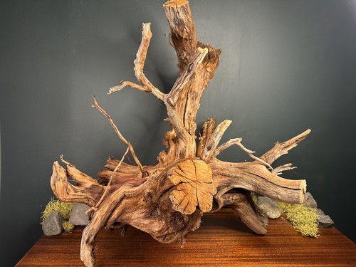 Manzanita driftwood - xl,
