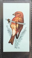 TETLEY (TEA CARD)-BRITISH