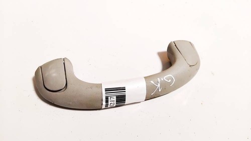 Interior roof grab bar rear - ,