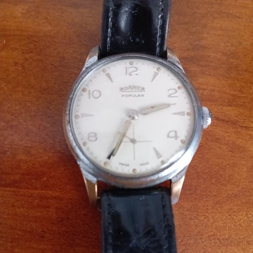 1960 vintage roamer - vintage,