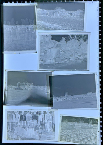 Kodak quarter plate sheet - plate, film