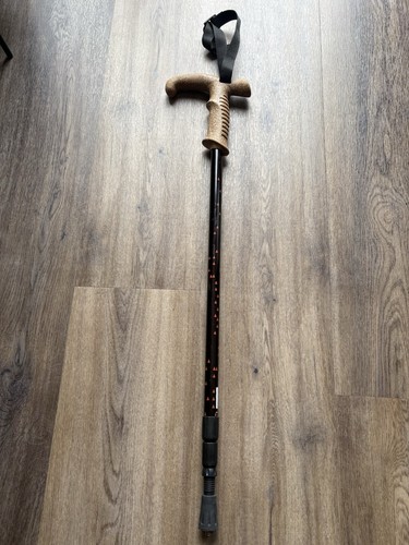 Mountain warehouse walker - mountain, pole